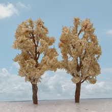 model trees